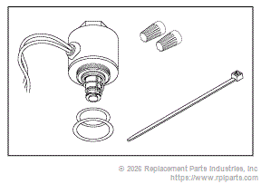 RPI Part #ADK220 - SOLENOID VALVE REPAIR KIT