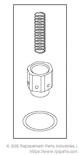 RPI Part #AMK285 - CHECK VALVE REPAIR KIT