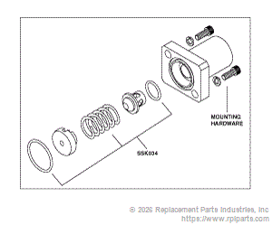 RPI Part #SSK008 - CHECK VALVE REBUILD KIT (CK-8) 