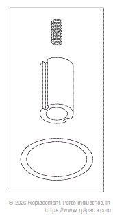 RPI Part #VPK018 - SOLENOID VALVE REPAIR KIT